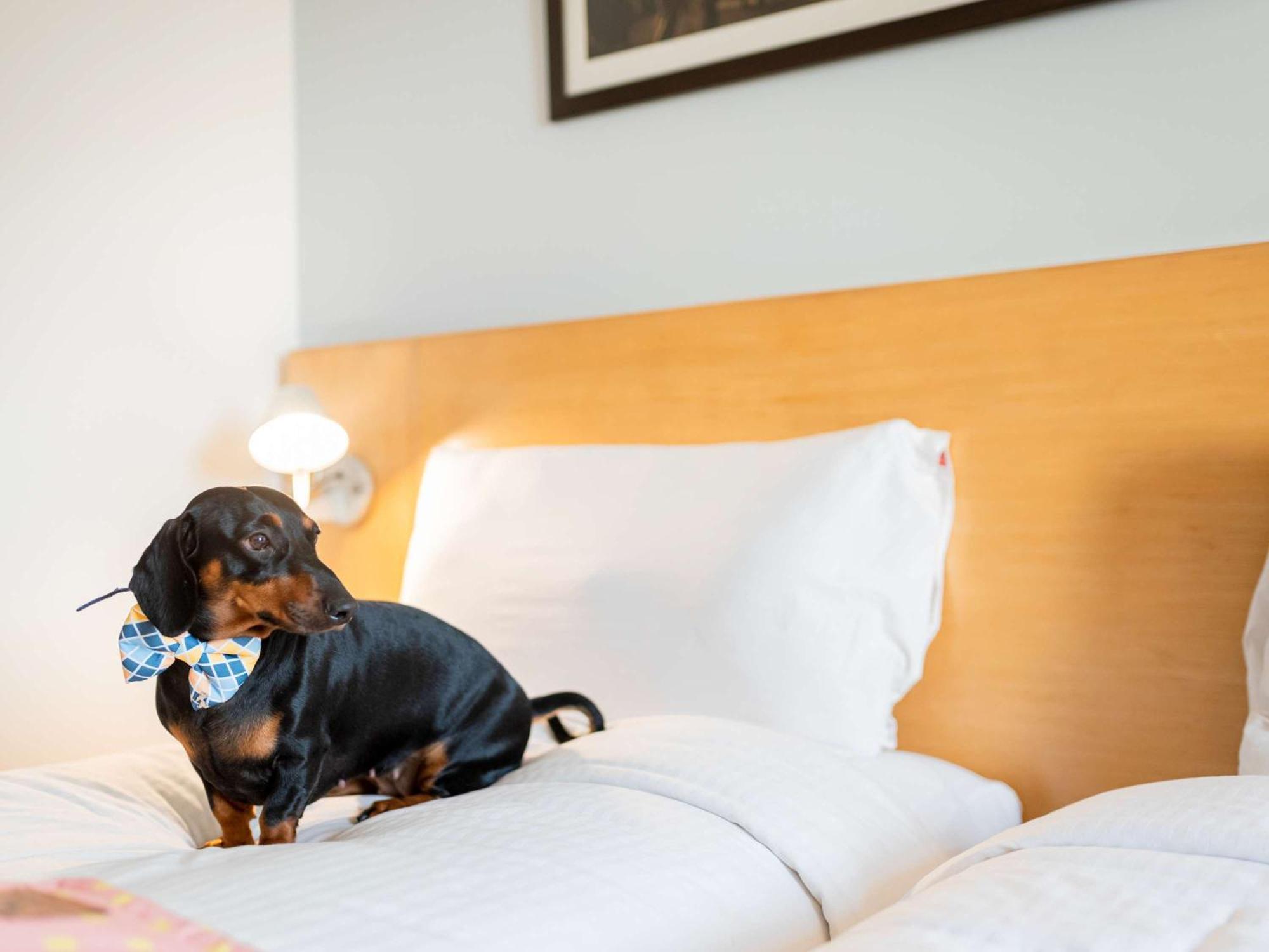 Ibis Hauptbahnhof 3*